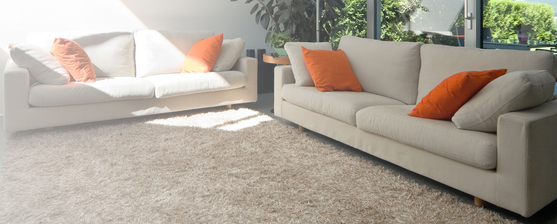 Affordable Carpet Cleaning For Los Angeles Home